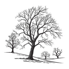 Fototapeta premium vector winter tree silhouette