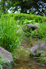 Terraced Gardens of Naksan Park Overlooking Seoul, South Korea