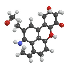 Complex Molecular Structure with Carbon Hydrogen Oxygen and Nitrogen Atoms on Transparent Backdrop