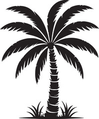 Obraz premium silhouette of palm tree