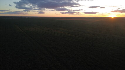 Fototapeta premium Sunset over a farm in Australia during working holiday visa
