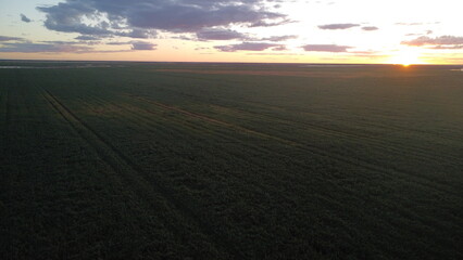 Fototapeta premium Sunset over a farm in Australia during working holiday visa