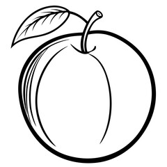 Plum contour with stem and subtle shading graphic