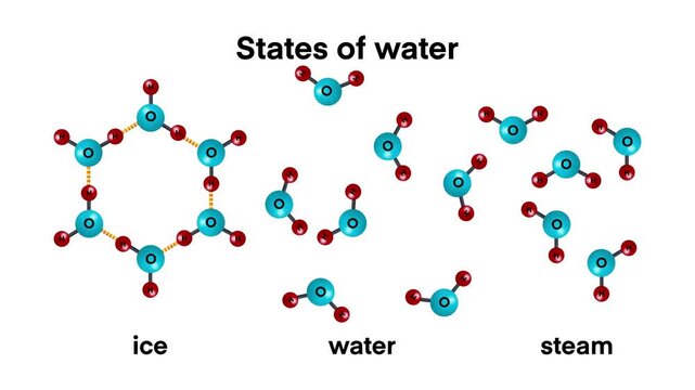 states of water, educational illustration shows the three states of water ice, liquid, and steam at the molecular level. It highlights how hydrogen bonding changes with temperature and physical state