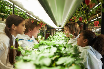 Group of diverse children observing and studying strawberry plants in indoor hydroponic greenhouse, kids wearing protective lab coats and focusing on plant growth and cultivation process