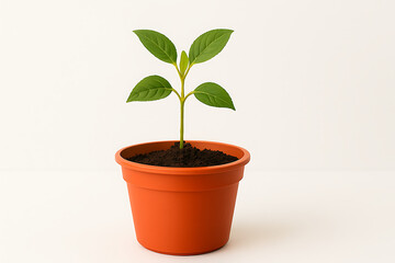 Young Plant in red Pot on white background