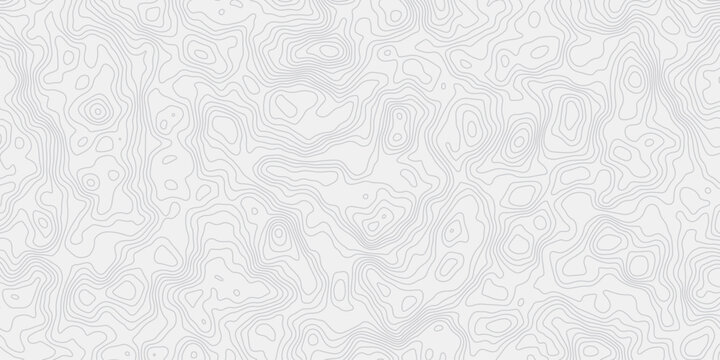 Abstract topographic wave map lines pattern  white background creating a minimal design element wallpaper design.
