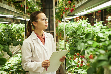 Asian young woman wearing safety glasses inspecting strawberry plants in indoor vertical farm...