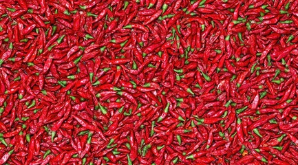 Fototapeta premium A dense, full frame view of numerous dried red chili peppers