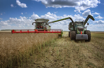 Combine harvesters harvest rapeseed filling a tractor trailer in a wide field