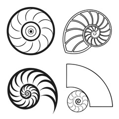 Obraz premium Four stylized representations of the nautilus shell s logarithmic spiral pattern