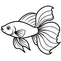 Betta line art vector