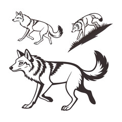 Fox and Wolf Hybrid Vector Drawings – Unique Animal Illustrations

