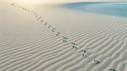 Overhead view of pink planner, cookies, coffee, pen, pinecones, and fairy lights on white wood table