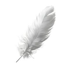 Feather Floating Elegantly on Black Background. Symbol for lightness, dreams, art