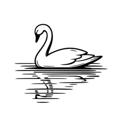 Black and white swan illustration floating on water with reflection bird lake