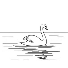 swan silhouette on the water