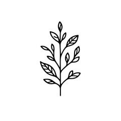 Silhouette of a woman wearing a hat and holding a bouquet of flowers female person