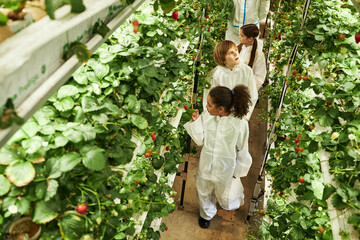 Group of multiethnic children wearing protective suits walking through greenhouse, examining strawberry plants and observing growth process, surrounded by lush green foliage and ripe strawberries