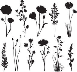 Black marigold flower silhouette