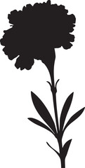 Black marigold flower silhouette