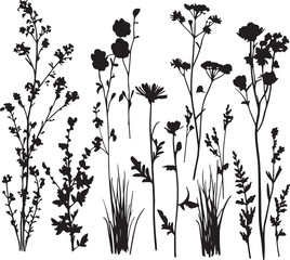 Black marigold flower silhouette