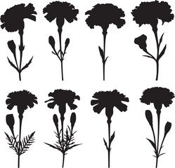 Black marigold flower silhouette