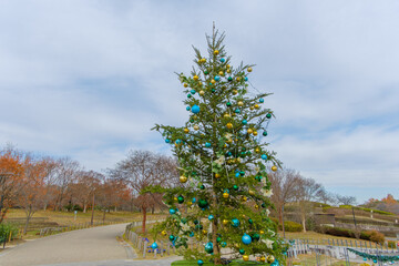 青と金のオーナメントで飾られた屋外のクリスマスツリー