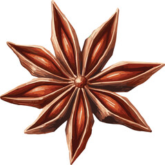Vector watercolor illustration of a star anise