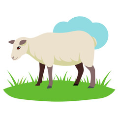 cartoon sheep with green grass