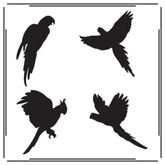 Parrot Silhouettes Vector Set  Black Silhouettes of Flying and Perched Exotic Tropical Birds  Isolated Parrot Icons for Wildlife, Nature, Jungle, or Decorative Design

