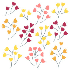 Wild and garden flowers, leaves. Modern vector botanical illustrations, hand drawn floral design elements