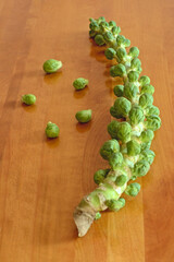 Fresh organic brussel sprouts on their stalk with five brussel sprouts next to it on a wooden table