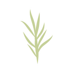 Wild and garden flowers, leaves. Modern vector botanical illustrations, hand drawn floral design elements