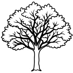 Black Gum line art vector