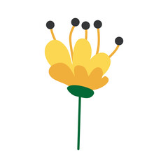 Wild and garden flowers, leaves. Modern vector botanical illustrations, hand drawn floral design elements