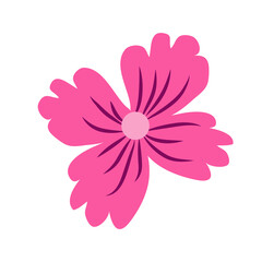 Wild and garden flowers, leaves. Modern vector botanical illustrations, hand drawn floral design elements