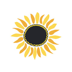 Wild and garden flowers, leaves. Modern vector botanical illustrations, hand drawn floral design elements