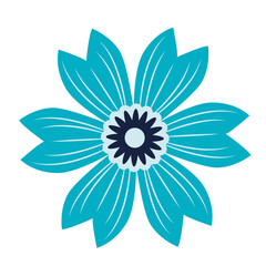 Wild and garden flowers, leaves. Modern vector botanical illustrations, hand drawn floral design elements