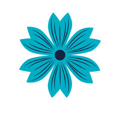 Wild and garden flowers, leaves. Modern vector botanical illustrations, hand drawn floral design elements