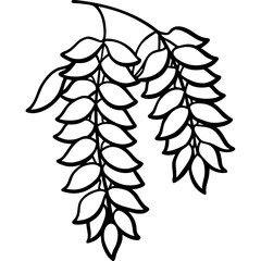 Black Locust line art vector