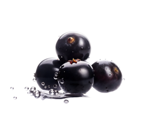 Dark berries water splash isolated on a transparent background