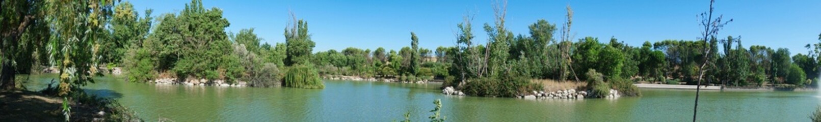Serene riverbank scene with lush trees and calm water at midday near a tranquil park