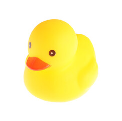 One cute rubber duck isolated on white