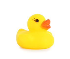 One cute rubber duck isolated on white