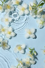 Beautiful jasmine flowers in water on light blue background, flat lay