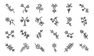 Chocolate Vine Creeper Flower Icon Silhouettes Elegant Line Art Floral Vectors In Minimalist Black On White Background Ideal For Tattoos Digital Botanical Art Stickers Nature Themed Desig 