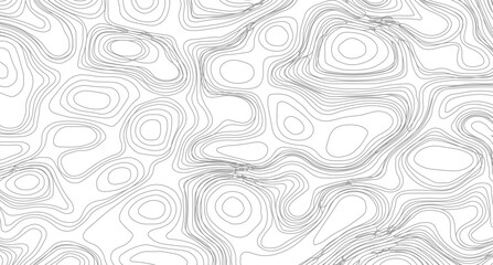 Abstract topography pattern lines sea map area space geometric strip grid line topo map technology modern design white background.	