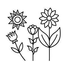 botanical flower icon collection linear tulip rose