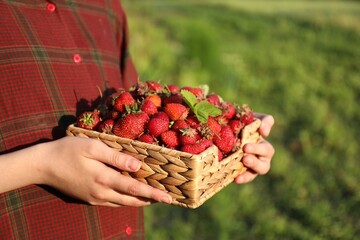 Woman holding basket with fresh strawberries outdoors, closeup